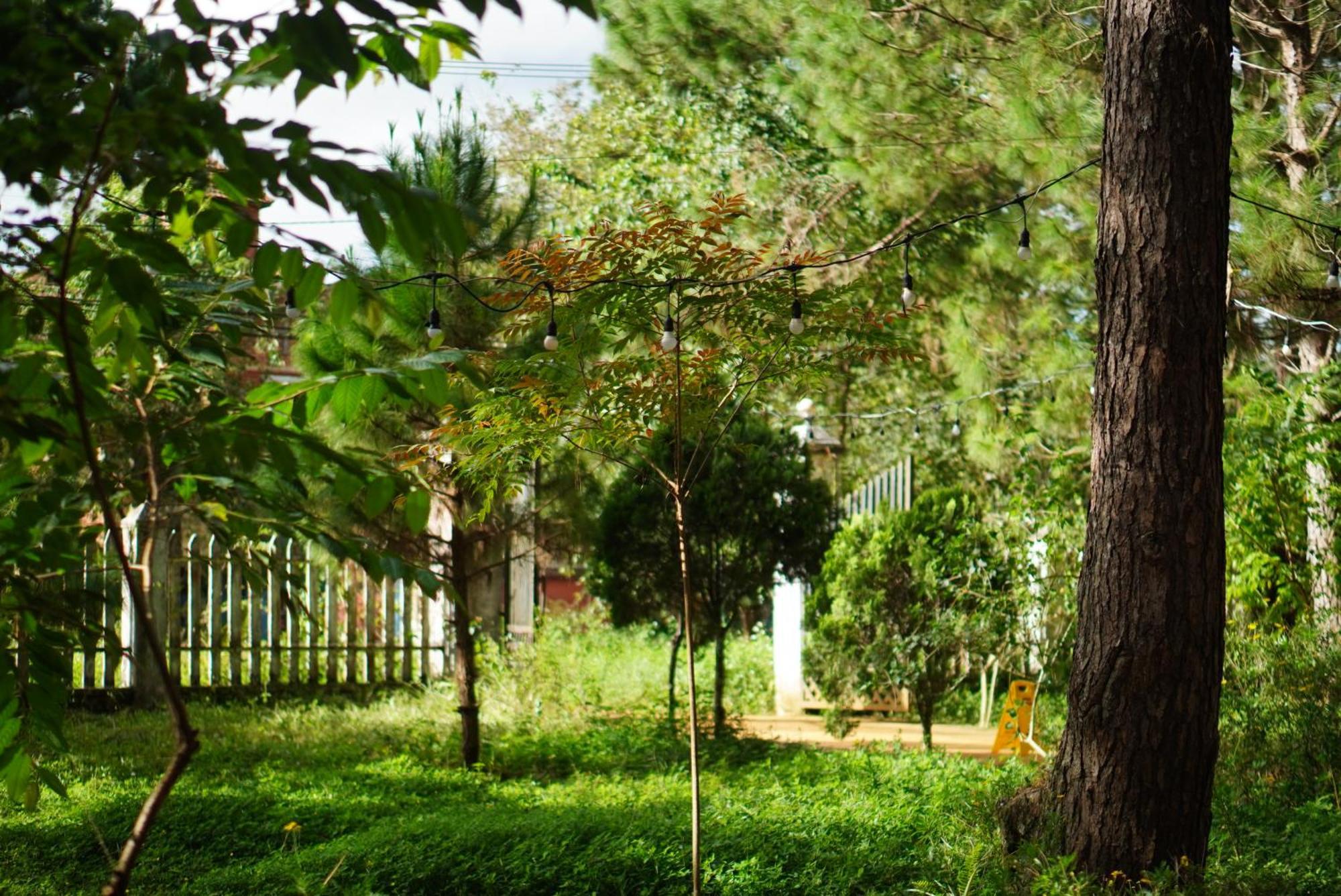 Sum Villa Homestay Mang Den Kon Von Kla Exteriör bild