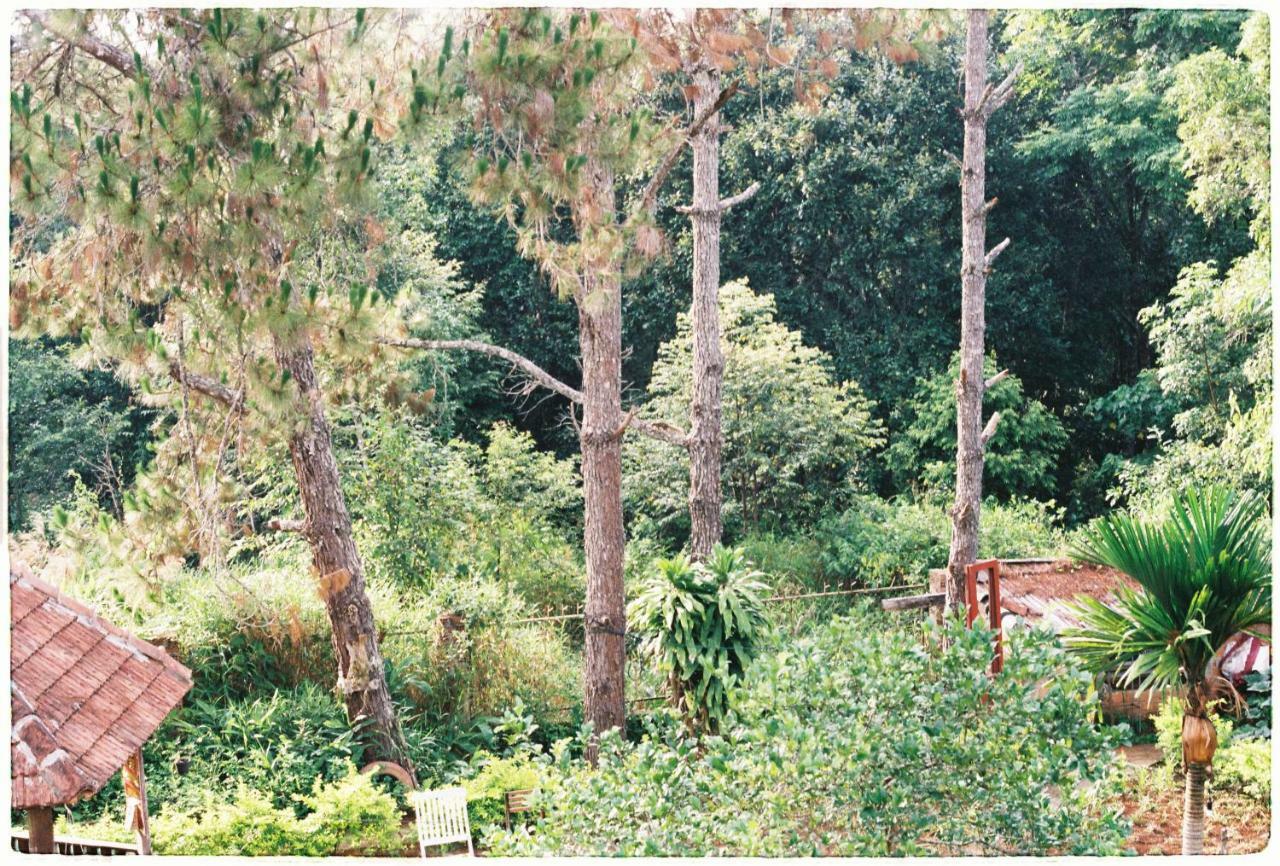 Sum Villa Homestay Mang Den Kon Von Kla Exteriör bild